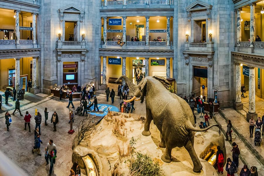 Smithsonian National Museum of Natural History Tours, at Smithsonian National Museum of Natural History, Washington DC