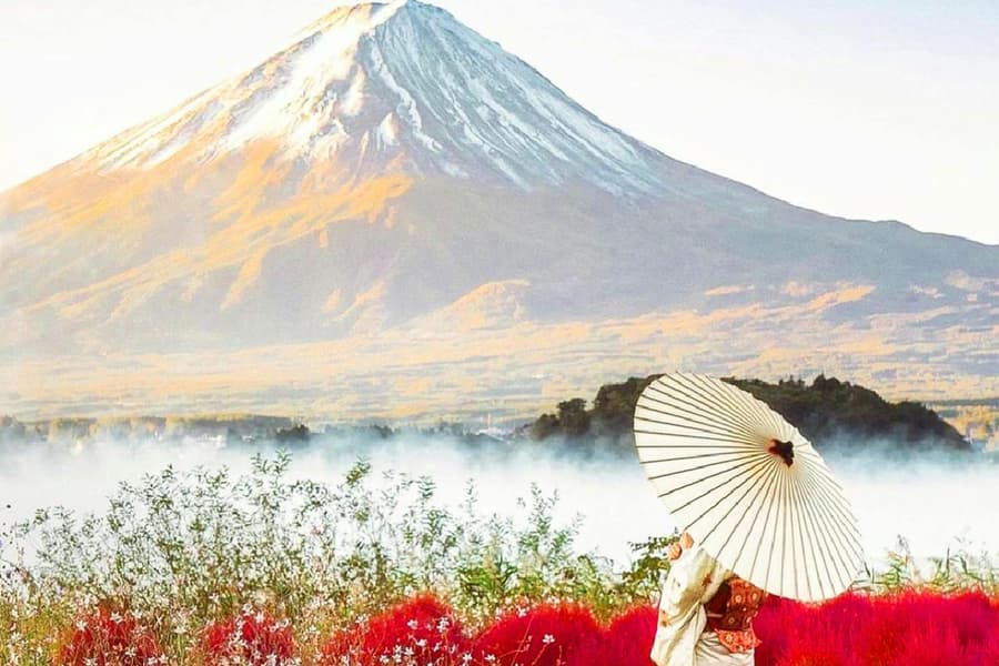 Mount Fuji Guided Day Tour with Kachikachi Ropeway & Matcha-Making Experience, Tokyo