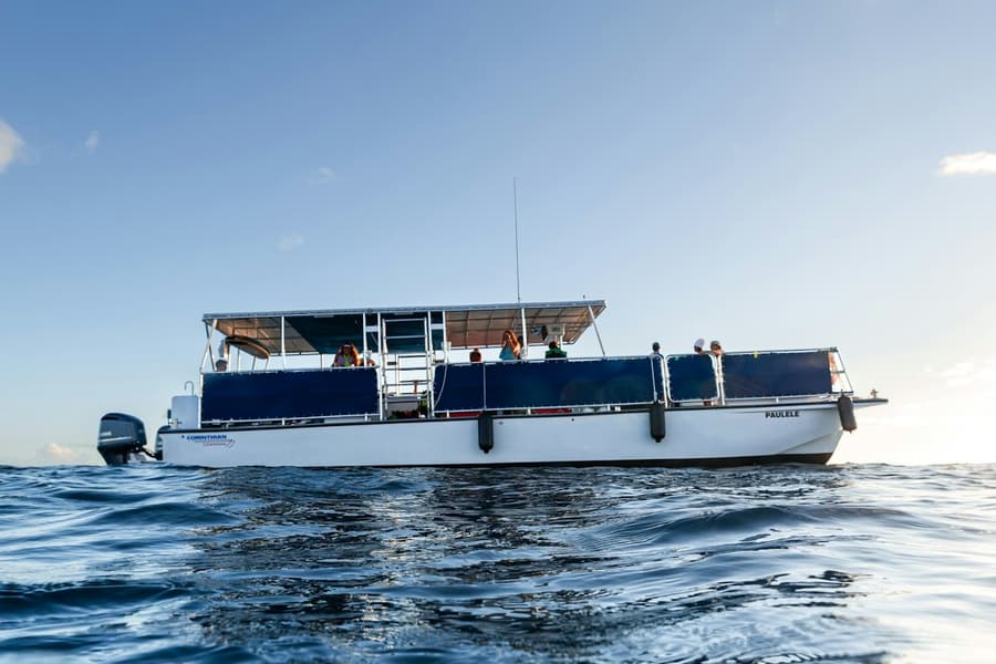 Turtle Canyon: Snorkel Tour, Honolulu
