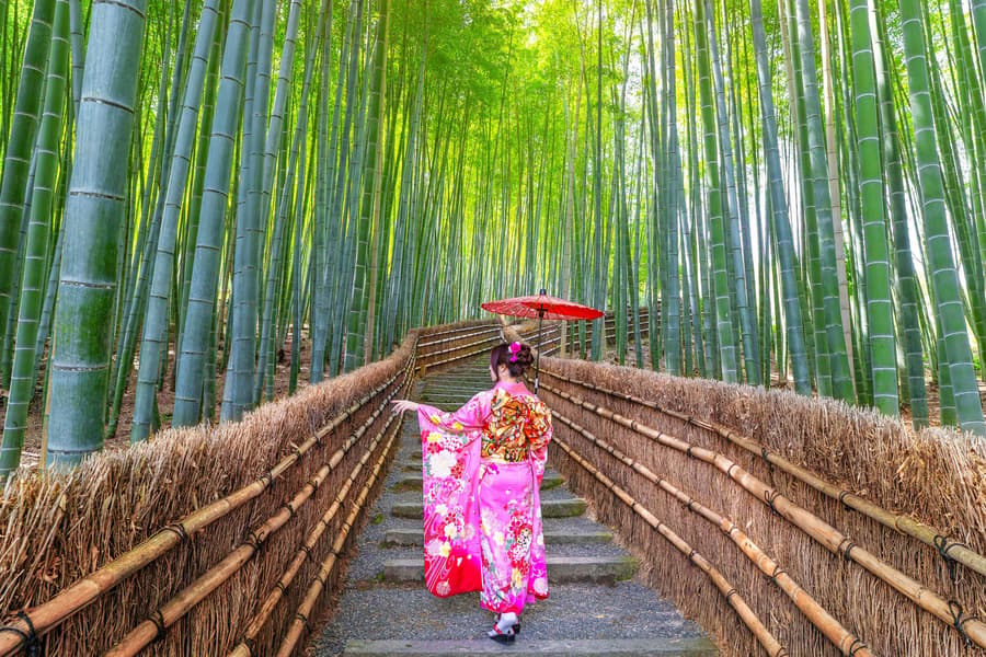 Kyoto Guided Tour: Bamboo Grove, Shrines & Nara Park from Osaka, Kyoto