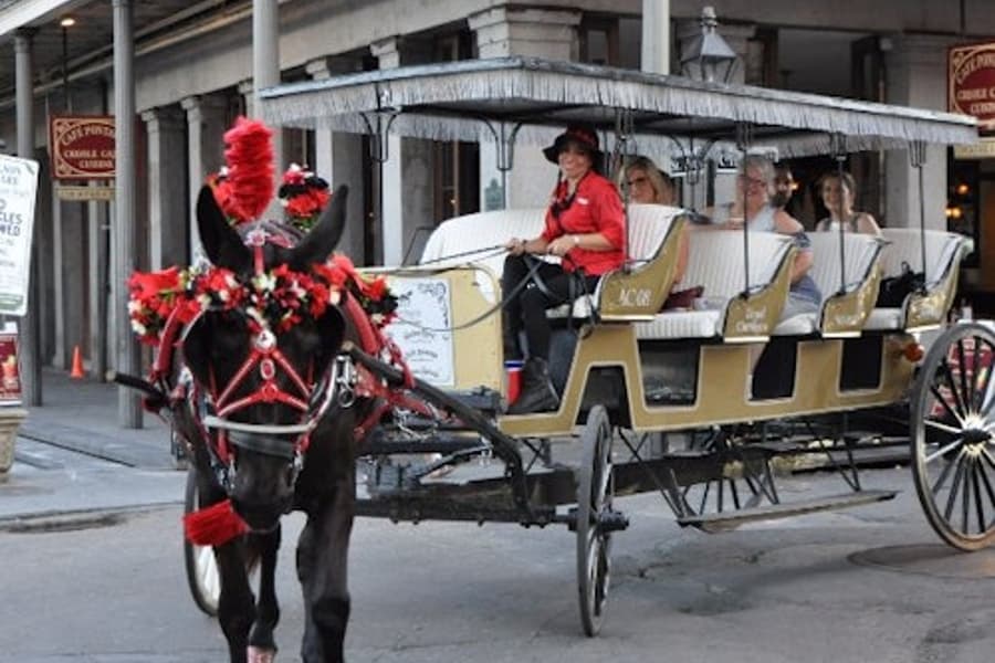 Tour de 60 Minutos no French Quarter por Carruagem Puxada por Mulas, at New Orleans City Tours, New Orleans