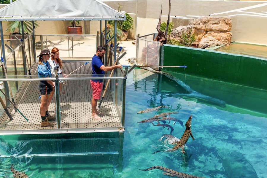 Crocosaurus Cove Tickets with VIP Tour, Darwin