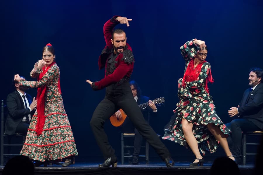 Sensaciones - Teatro Flamenco Granada, Granada
