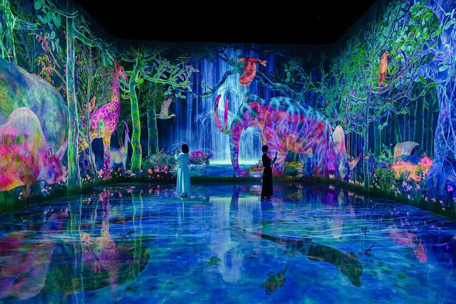 Tiketan teamLab Planets Tokyo, at Tokyo, Japan, Tokyo
