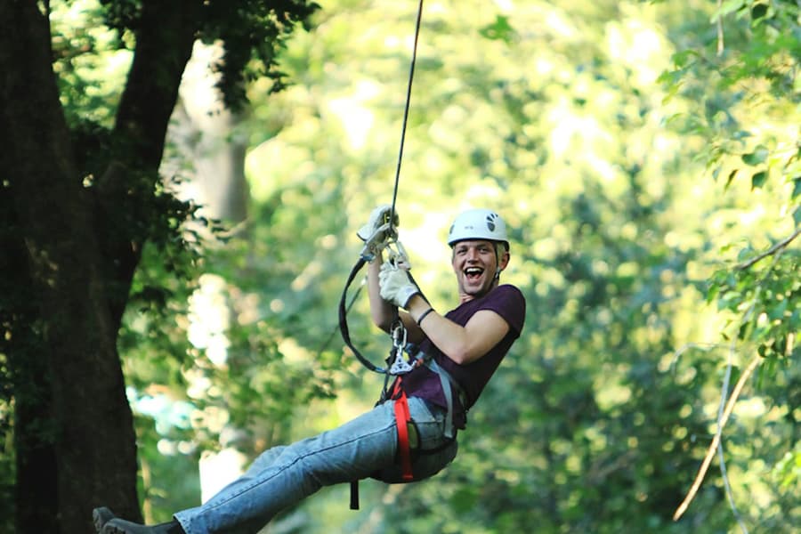 Treetops Adventure: Belgrave Park, at Treetops Adventure Belgrave