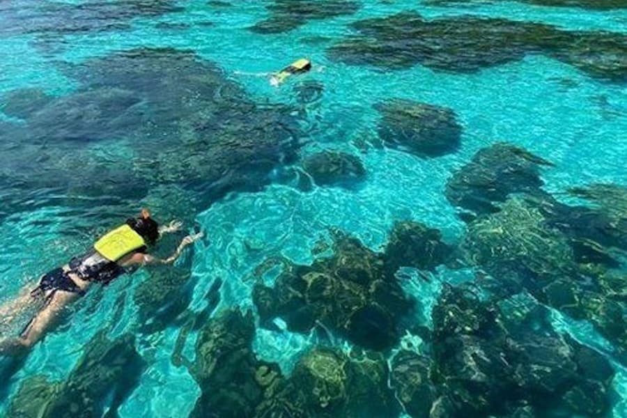 Krabi Um Dia em Koh Rok & Koh Haa a partir de Aonang, Krabi