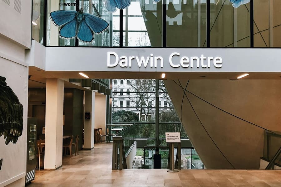 Natural History Museum London: Semi-Private Guided Tour tickets at Natural History Museum London