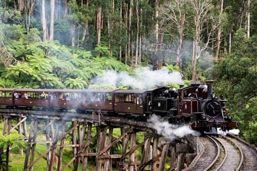Σιδηρόδρομος Puffing Billy: Περιήγηση με τρένο & Άγρια Ζωή + Μεταφορές, Belgrave