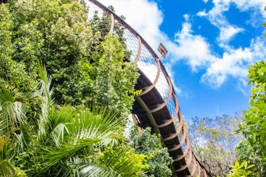 Constantia: Full-Day Wine Tour + Roundtrip Transfer