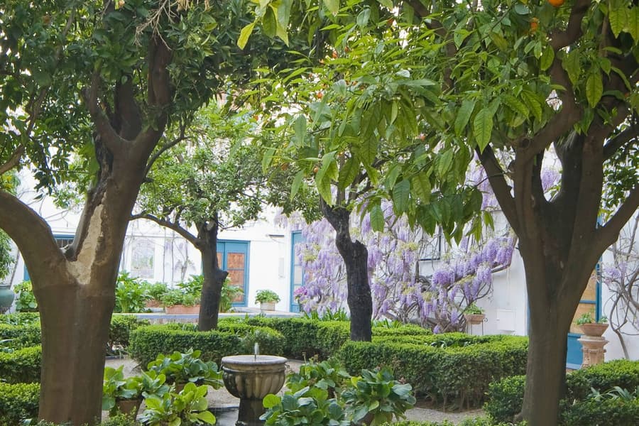 Viana Palace: Guided Tour, at Viana Palace, Cordoba