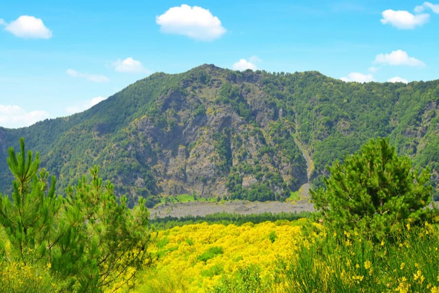 Mount Vesuvius: Skip The Line Ticket + Roundtrip from Naples, at Mount Vesuvius, Ercolano