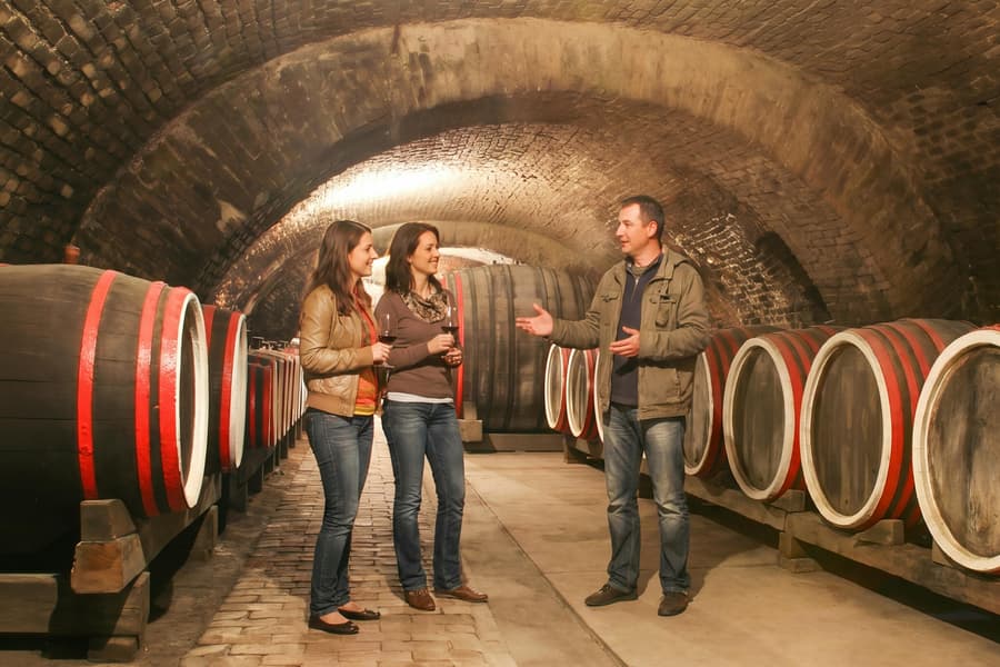 From Dubrovnik: Pelješac Peninsula Small Group Wine Tour, Dubrovnik