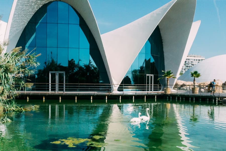 Valencia: Art & Science Pass, Valencia
