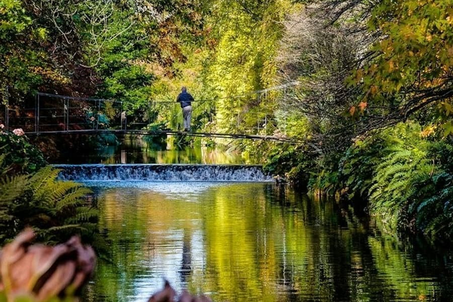Avoca Mount Usher Gardens: Self Guided Experience, Dublin