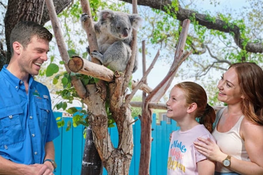 坦帕動物園水族館:坦帕動物園和佛羅里達水族館聯合票, Tampa