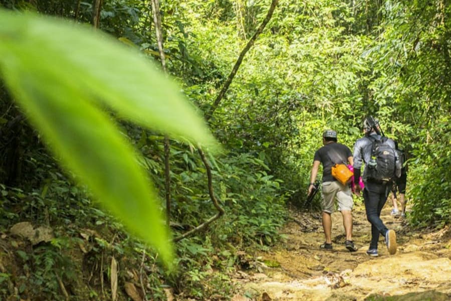 Phuket: Khao Phra Thaeo National Park Guided Trek + Lunch + Transfer, at Phuket Hiking
