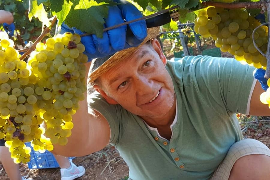 Mallorca: Winery & Olive Mill Guided Tour + Tastings + Roundtrip Transfer, Palma de Mallorca
