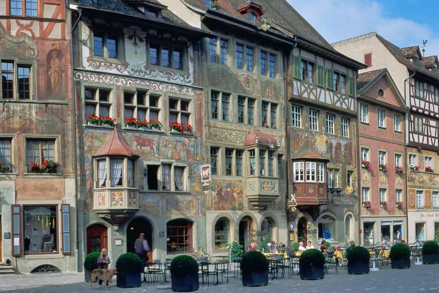 From Zürich: Day Trip to Rhine Falls & Stein am Rhein, Zurich