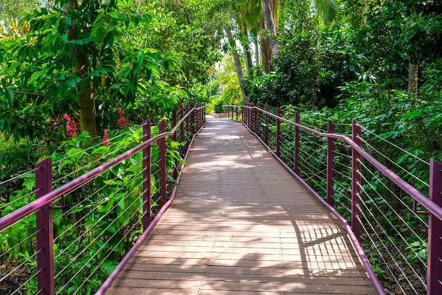 Combo: Darwin Hop-On Hop-Off Bus Tour + Royal Flying Doctor Service + Crocosaurus Cove Tickets, Darwin
