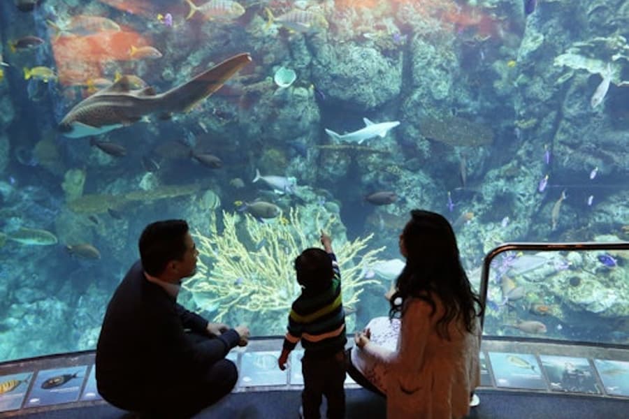 Aquarium of the Pacific: Membership Voucher, Los Angeles