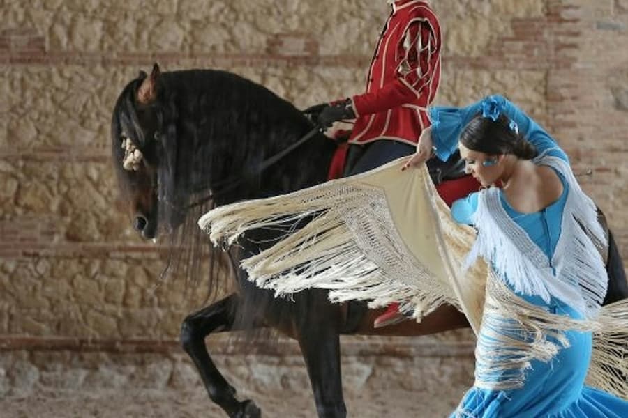 Equestrian Show 'Passion and Spirit of the Andalusian Horse', at Córdoba Ecuestre, Cordoba