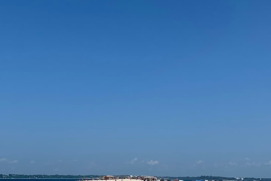 Zanzibar: Swimming with Dolphins Day Trip, at Zanzibar Activities, Zanzibar