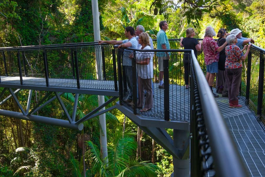 Tamborine Mountain: Hop-on Hop-off Bus from Brisbane, at Hop-on Hop-off Tours Brisbane, Brisbane