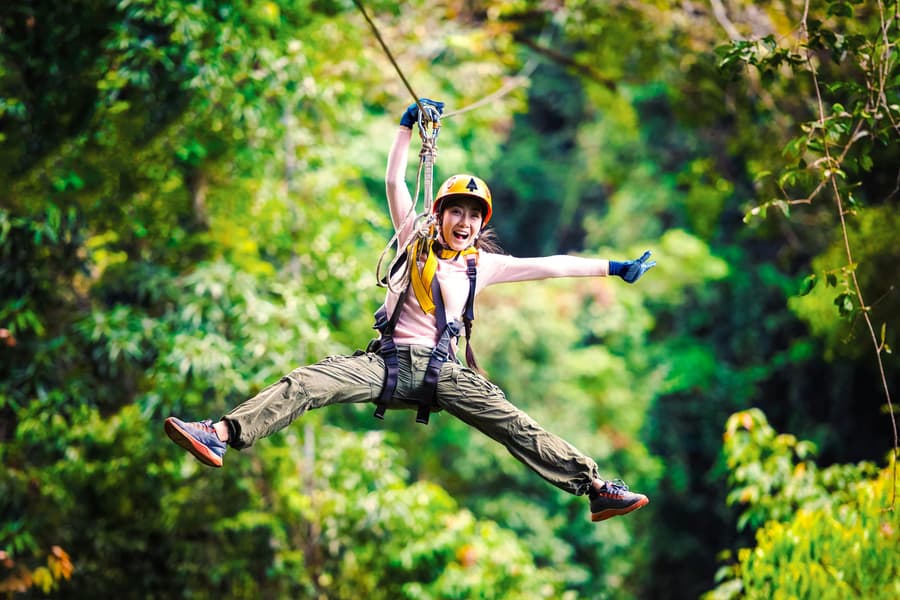 Treetops Adventure Zipline Cape Tribulation Canopy Tour tickets at Treetops Adventure Zipline Cape Tribulation