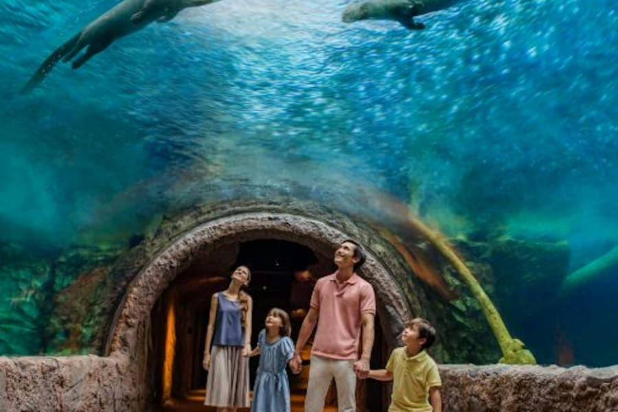 Singapore River Wonders: Entry Ticket at Singapore River Wonders