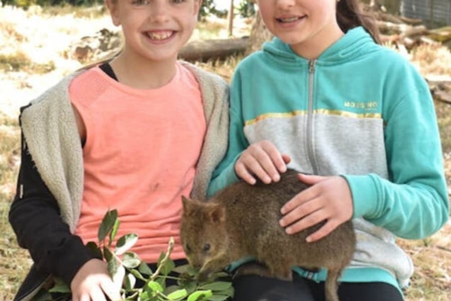 บัตรเข้าชมอุทยานสัตว์ป่า Gorge, at Gorge Wildlife Park, Adelaide