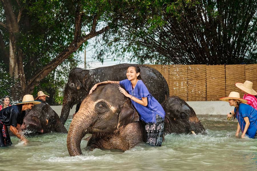 Bangkok Elephant Park Half-Day Elephant Care Experience, at Bangkok Elephant Park