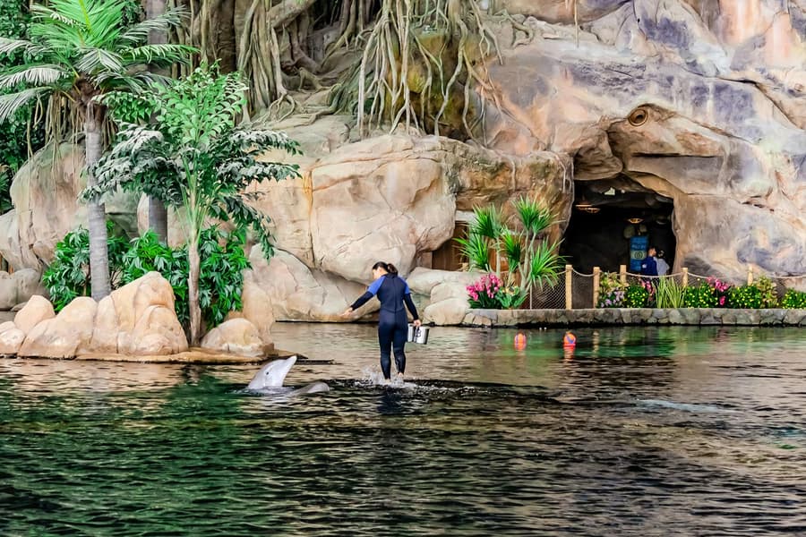 SeaWorld Abu Dhabi Quick Pass, at SeaWorld Abu Dhabi