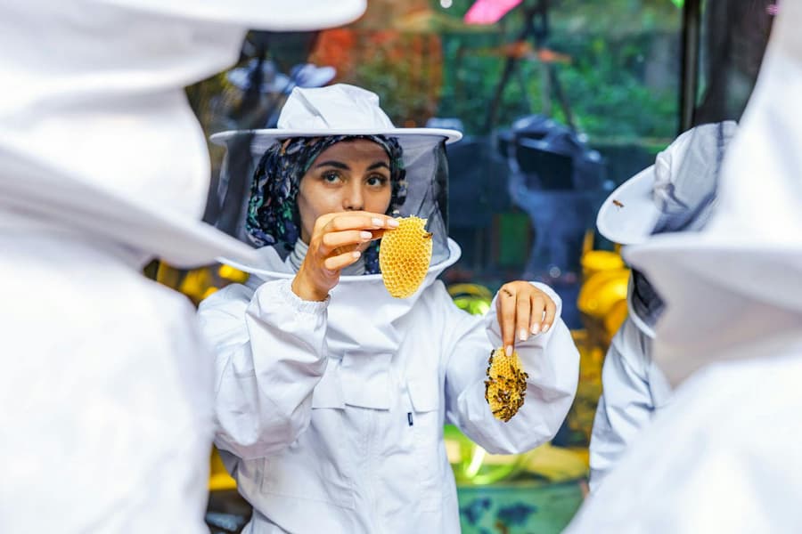 Expo City: Beeking Experience at Terra Tickets, at Expo City