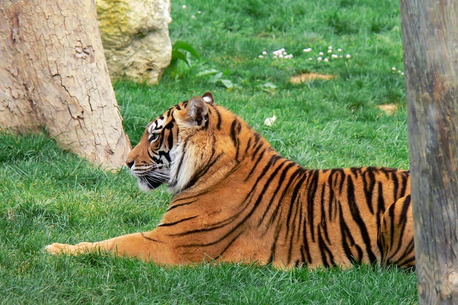 Jardim Zoológico Tickets, at Jardim Zoológico, Lisbon