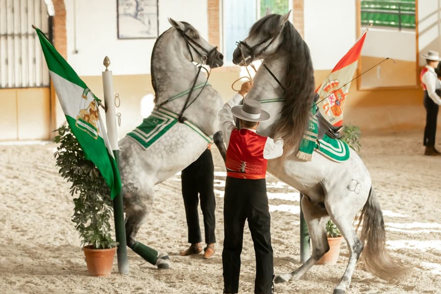 Club Hipico El Ranchito: Andalusian Horse and Flamenco Show, Malaga