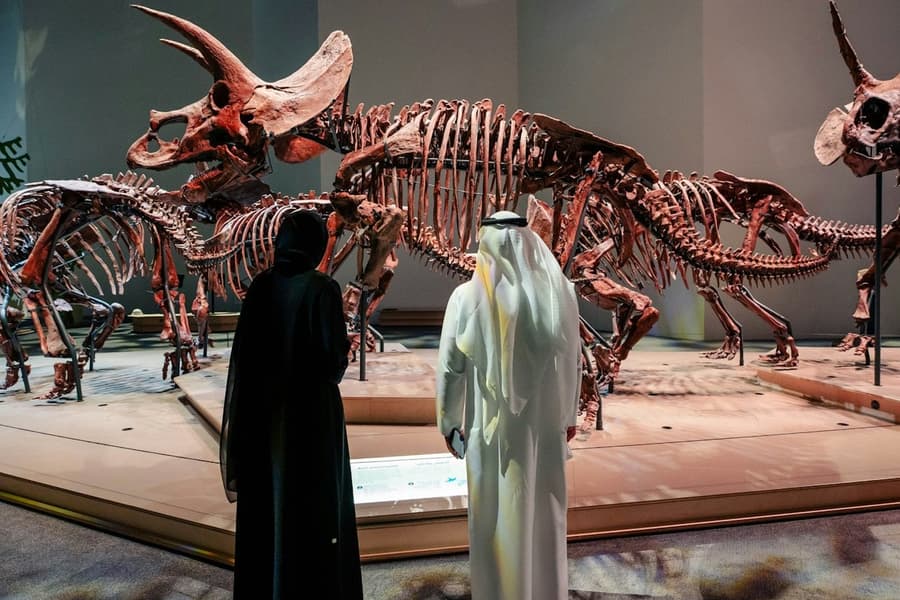 Natural History Museum Abu Dhabi: Entry Ticket, at Natural History Museum Abu Dhabi, Abu Dhabi