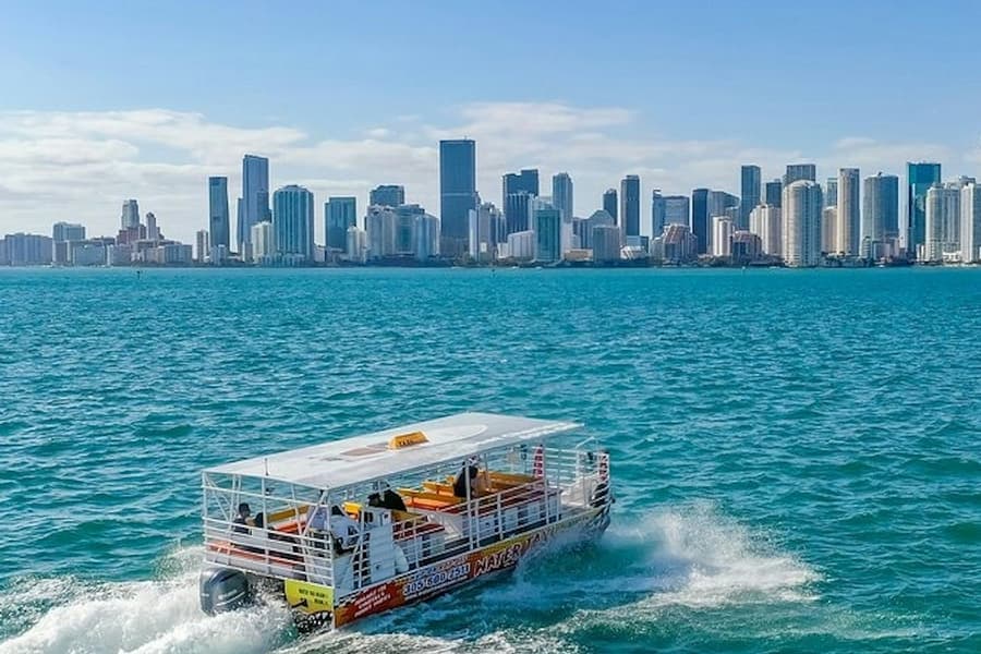 Miami: Water Taxi From/To Downtown and South Beach, at Miami Boat Tours