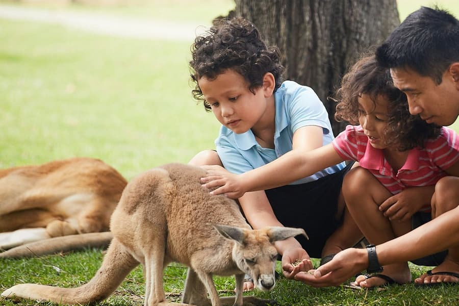 Oakvale Wildlife Park: Entry Ticket, at Oakvale Wildlife Park, Port Stephens
