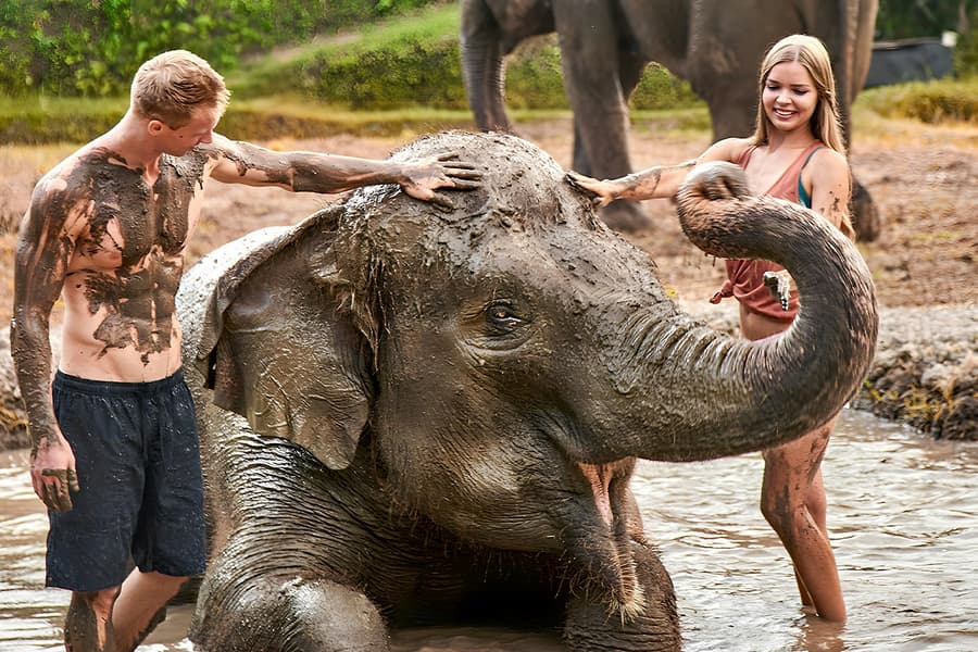  Bali Zoo Tickets with Elephant Feeding & Mud Bath 
, Bali