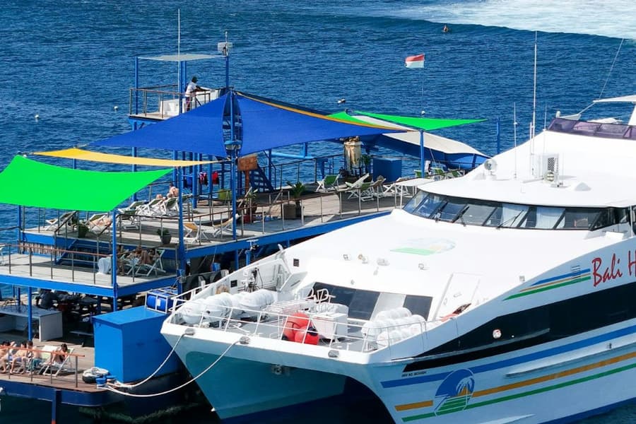 Nusa Lembongan: Reef Cruise from Bali + Lunch + Snorkeling, at Denpasar Cruises, Denpasar