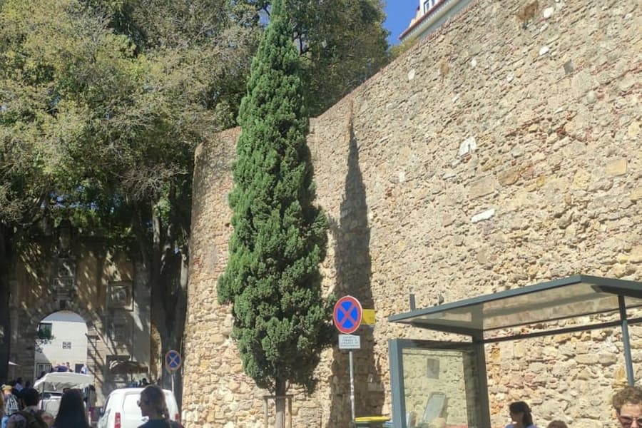 São Jorge Castle: Small Group Guided Tour, at São Jorge Castle