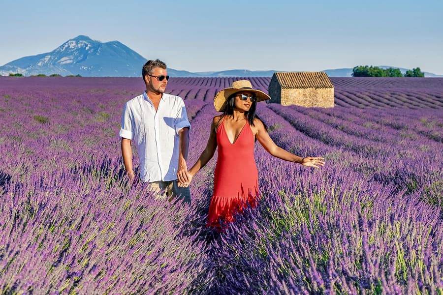 From Aix-En-Provence: Lavender Fields Tour, Provence