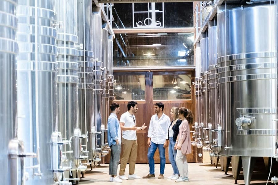 Lisbon: Guided Wine Tour & Tasting + 4WD Jeep Vineyards Experience, at Lisbon Food and Drinks