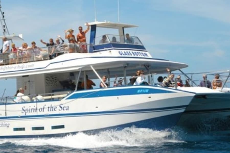 Gran Canaria: Dolphin Watching Tour, at Gran Canaria Water Activities, Puerto Rico De Gran Canaria