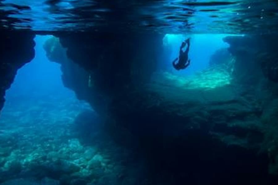 Kealakekua Bay: Marine Adventure, at Sightseeing Cruises in Kailua-Kona, Kailua-Kona