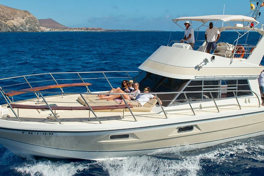 Los Cristianos: Guided Yacht Cruise + Whale Watching + Lunch, Los Cristianos