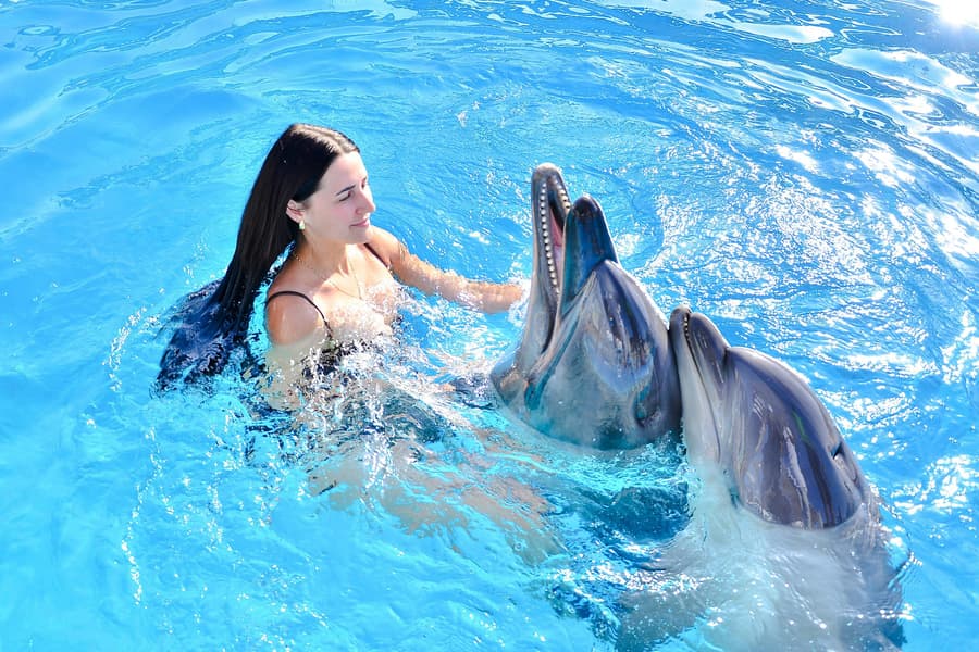 Private Dolphin Swim Adventure at Hurghada Dolphin World, Hurghada