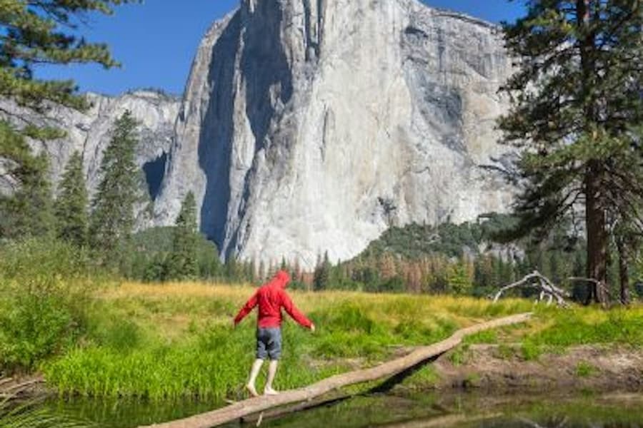 From San Francisco: Full Day Yosemite and Giant Sequoia Tour tickets at Yosemite Day Trips from San Francisco