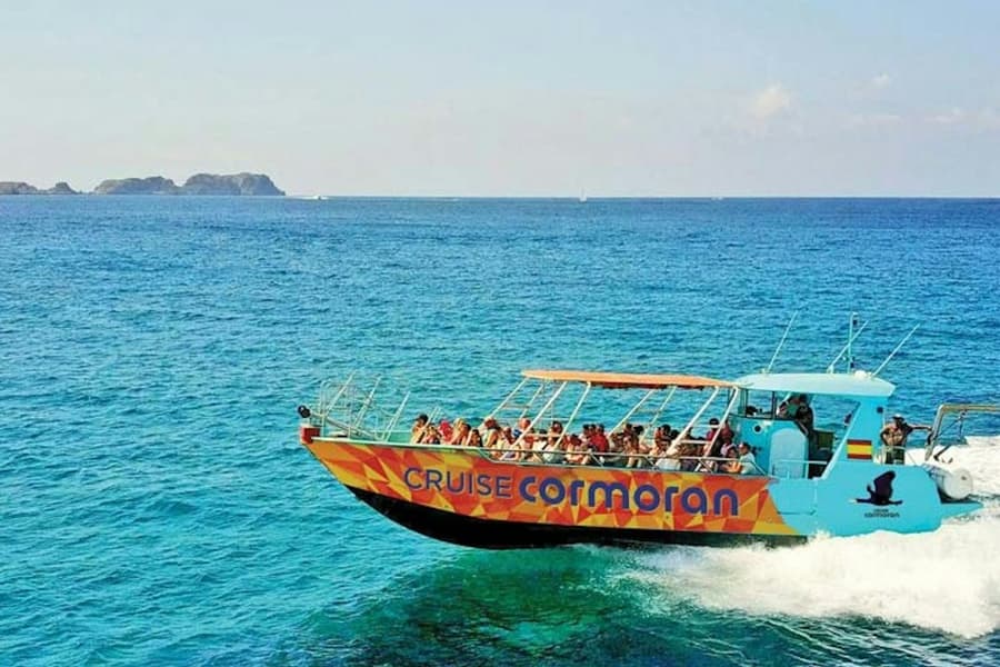 Santa Ponsa: Caves, Cliffs & Coves Boat Trip + Snorkelling, Palma de Mallorca
