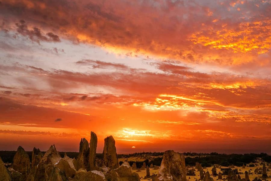 Pinnacles Sunset, Stargazing, & Wildlife Spotting Tour with Tavern Dinner & Round-Trip Transfers, Perth